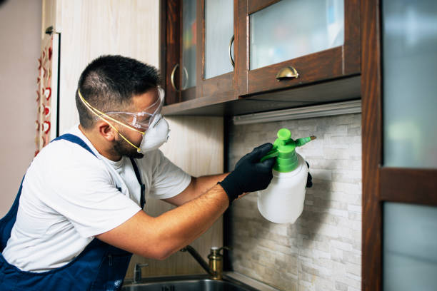 Best Best Pest Control Companies  in Paulding, OH