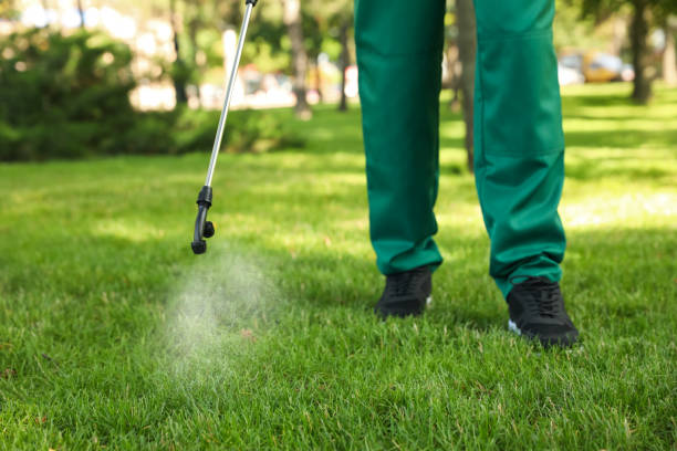 Best Pest Control Treatment  in Paulding, OH