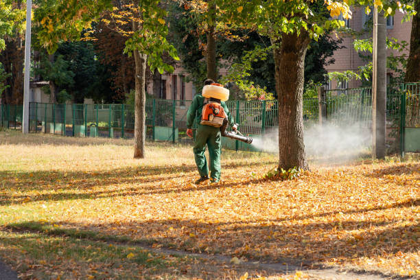 Best Affordable Pest Control Services  in Paulding, OH